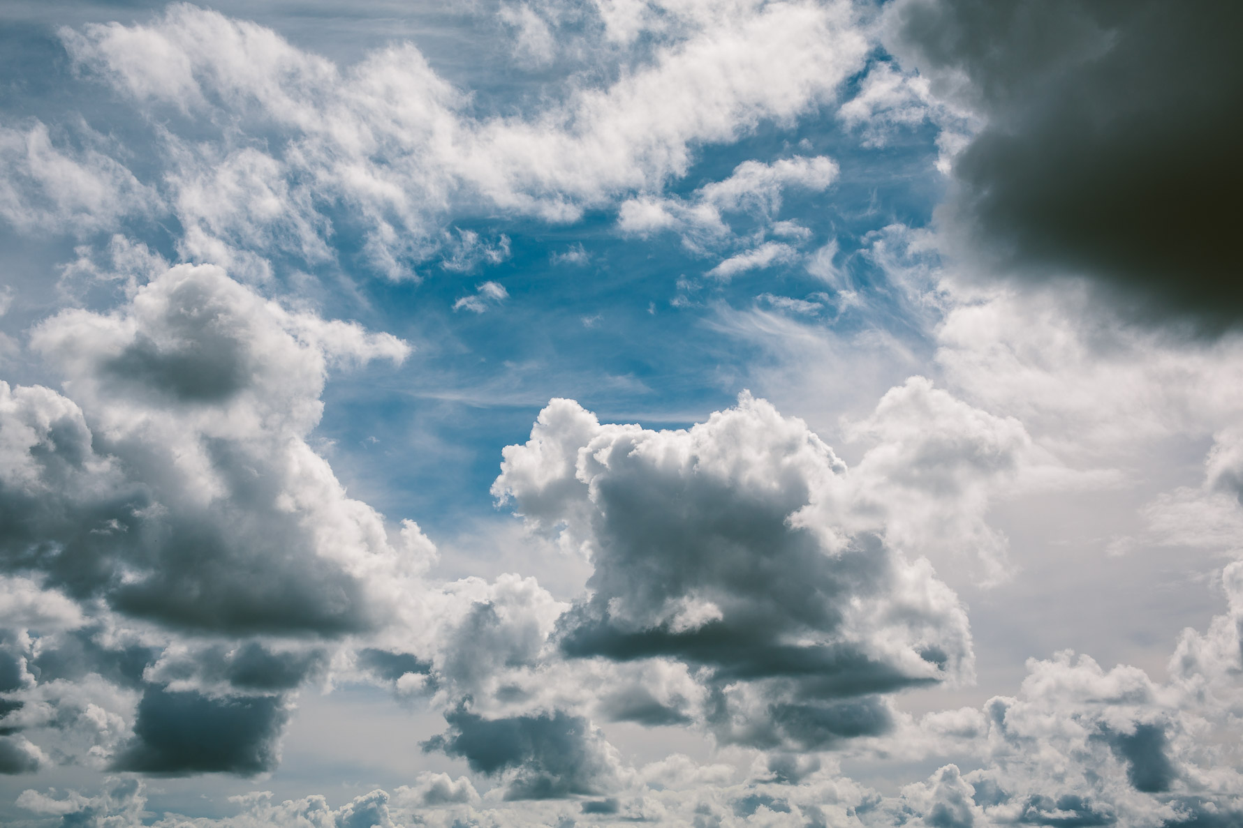 Emma & Nick Wedding_Web-9493